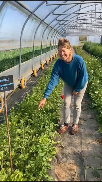De bloemenpluk is geopend! Vroeger dan verwacht, maar er staat zoveel moois dat we willen delen met jullie! 🌷♥️🌸
In de serres vind je ranonkels,  butterfly ranonkels, nog wat anemonen en de eerste goudsbloemen.
Onder het afdak kan je tulpen kiezen in onze 'tulpenbar'.
Buiten kan je narcissen plukken, bij de vaste planten vooraan ook helleborus en weldra nog meer.

Om af te rekenen graag je aankopen invoeren in de kassa. 

Dankjewel!
Binnekort nog meer nieuwtjes!
Tot gauw!
Veel plezier!
Geniet van de zon!
En van het veld!
En van de bloemen!

#enthousiast
#debloemenplukisopen!
#kommaaraf
#wekijkenernaaruit