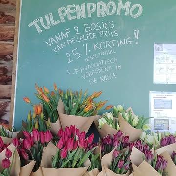 🕺💃Het tulpenseizoen loopt bijna af, daarom doen we heg hele weekend tulpenactie!
Ze staan klaar! 😍🌷☀️🌸🎉