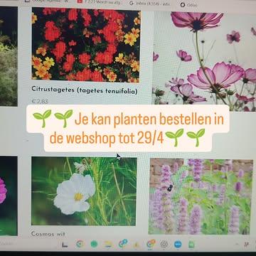 🌱 Eindelijk staan de planten in de webshop! Een beetje later dan normaal, maar je kan vanaf nu bestellen tot woensdagavond 29/4.
🌱 Afhalen zondag 3/5 tussen 13 en 17u in de Vennestraat over nr 7 in Zemst
🌱 Later afhalen kan ook (maar wel zo snel mogelijk), gelieve dit als opmerking te vermelden bij je bestelling.
🌱 Zondag zijn er ook nog ter plaatse plantjes te koop.
🎉☀️🎉 En zondag kan je ook komen genieten van artisanale lokale producten op onze plantaardige markt!
🎉☀️🎉 Er is taart, muziek en een bar!

Tot dan!
Aardige groeten!