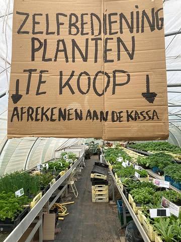 Wat een geslaagde plantenverkoop. Dankjewel iedereen 💚🙏 

Er zijn nog een heleboel plantjes over. Die bieden we te koop aan hier op het veld. Je vindt ze terug in de eerste serre in de linkse gang. Afrekenen kan hier aan de (nieuwe 😃) kassa.

Een greep uit het aanbod: bieslook, peterselie, bergamotmunt, oregano, marjolein, tijm, shiso, citroenverbena, pepermunt, padron pepers, Hongaarse paprika, hokaido en buttternut pompoen, komkommer, kerstomaten, physalis, buitentomaat, gele courgette, achillea, jacobsladder, keizerkorenbloem,…