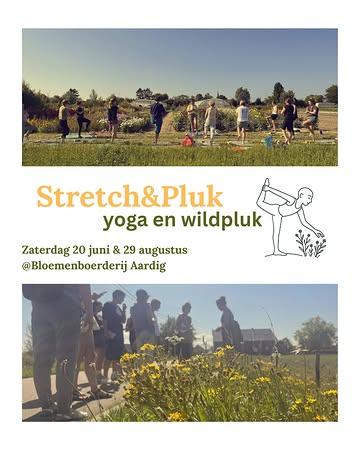 Na het fijne enthousiasme van afgelopen zomer nodigen wij (Kato en Lynn) jullie heel graag opnieuw uit om samen met ons te genieten waar onze twee passies samenkomen: yoga en wildpluk!

Wat kan je verwachten?
Om 9u45 verwelkomen we je op het veld, waar we om 10u starten met een ontspannende yoga-sessie in de frisse buitenlucht. Daarna is het tijd om te genieten van verse kruidenthee, vergezeld door onze huisgemaakte cake van wilde kruiden. Om de ochtend compleet te maken, gaan we op wildplukwandeling waarbij we op zoek gaan naar eetbare en medicinale planten die in de omgeving groeien. We ronden af om 13u.

Wanneer en waar?
🌱 Zaterdag 20 juni en zaterdag 29 augustus 
🌸 Bio bloemenboerderij Aardig, Zemst (Vennestraat tov. nr. 7) 

Inschrijven via de link in bio!
Bij vragen: mail naar stretch.en.pluk@gmail.com
