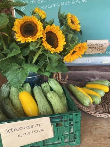 Vers geoogste courgettes en zonnebloemen verkrijgbaar int schuurtje 🌻

Tip van de week: gazpacho van courgettes met goed veel basilicum en een beetje marjolein. Wij hebben er zelf liters van gedronken. 

Basilicum en marjolein vind je op het kruidenbed links van het veld met honderden bamboo stokken 🌿