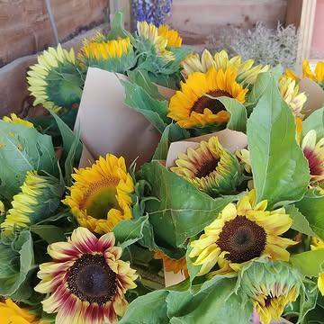 Olala! Shiny zonnebloemenboeketjes met verschillende zonnebloemen te koop in on schuurtje € 6/5 stelen ☀️🌻☀️