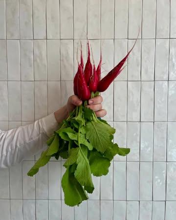 During the Week of the Short Chain, we take a moment to reflect on something that feels natural to us: working with what grows nearby, made and grown by people we know.

We believe in cooking with ingredients that are produced with care and knowledge, in fields and on farms not far from here. Not just for the flavour, but because each product carries a story – of craft, season, and origin.

It’s how we try to work every day: directly, transparently, and with respect for nature and for the people behind the produce.

- 

Tijdens de Week van de Korte Keten staan we graag stil bij iets wat voor ons vanzelfsprekend is: werken met wat dichtbij groeit, gemaakt en geteeld wordt door mensen die we kennen.

We geloven in koken met ingrediënten die met zorg en kennis zijn geproduceerd, op velden en boerderijen niet ver van hier. Niet alleen omwille van de smaak, maar omdat er een verhaal achter zit – van vakmanschap, seizoen en herkomst.

Het is hoe we elke dag proberen te werken. Rechtstreeks, transparant, en met respect voor wat de natuur en de streek ons brengt.