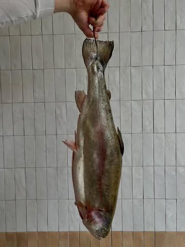 At Klee, we work with whole fish that we age ourselves. We follow the fin-to-gill principle – the fish equivalent of nose-to-tail. This approach allows us to make the most of each animal and give every part the attention it deserves. Different parts of the fish return throughout our menu in various forms — spread across several courses, each with its own character and preparation. In this way, we create a menu that’s not only about flavour, but also about respect for the product and the craft.

We’ve updated our website with an example menu, please keep in mind this serves merely as a reference.

Bij Klee werken we met hele vissen die we zelf rijpen. We volgen het fin-to-gill principe – de visvariant van nose-to-tail. Zo halen we het maximale uit elk dier en geven we elk onderdeel de aandacht die het verdient. Elk deel van de vis keert op verschillende manieren terug in ons menu — verspreid over meerdere gangen, elk met een eigen karakter en bereiding. Op die manier ontstaat een menu dat niet alleen draait om smaak, maar ook om respect voor het product en de ambacht.
 
Op onze website vind je een voorbeeldmenu, deze dient enkel als referentie.