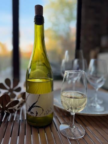 𝗖𝗵𝗶𝗹𝗲𝗻𝗶𝘁𝗮 𝗽𝗼𝘂𝗿 𝗹’𝗮𝗽𝗲́𝗿𝗼 !

Assemblage grenache gris, macabeu et chardonnay avec 12 mois d’amphore
12,5% alcool

Non filtré, non collé, 0 intrants, 
Sulfites ajoutés : 0mg/l

https://www.natornot.com/shop/manuel-giocanti-france-catalogne-du-nord-chilenita-921