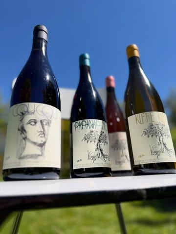 Les nouvelles cuvées de @lolitasene seront présentées dans notre prochaine newsletter. Vous pouvez vous y inscrire via notre site web : www.natornot.com

#rhone #gard #vinnature #vinvivant #vindurhone