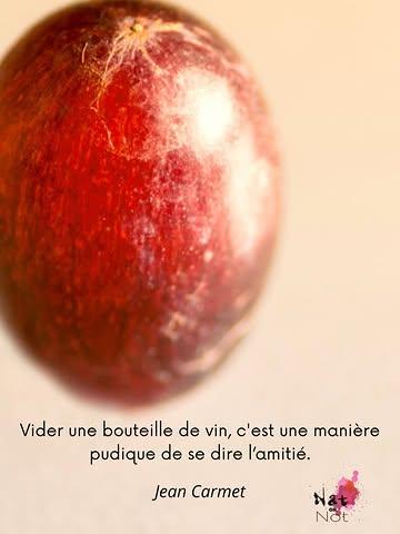 Ce pois de raisin a une histoire particulière.

Ce pois de raisin, c’est celui de Philippe.
Ce pois de raisin, il s’est développé et a mûri sur un des nombreux pieds de vigne de Philippe.

Parce que Philippe a été vigneron dans le Languedoc avant d’importer du vin et de créer Nat Or Not.

Et un jour, il a demandé à un de ses amis photographe de photographier un pois de raisin de ses vignes.

Le voici.

C’est comme vider une bouteille de vin.