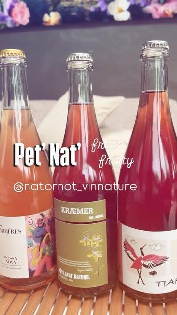 #petnat 
#naturalwine #vinnature
#import #belgique 
Contact us : @natornot_vinnature