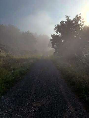 :Dimanche matin 
Un lieu déjà exploré lors de nos balades il y a plusieurs années redécouvert il y à quelques semaines avec les yeux plus intéressés à la flore qu’au panorama.
Facilement accessible mais éloigné des routes, abondant d’espèces différentes, sublime point de vue, que demander de plus?!?

#eatlocal #wildcaptureforaging #etoileverte #etoilevertemichelin #guidemichelin #cueilleurssauvages☘️ #cueuillette #cueillettes #cueillettedujour #plantessauvages #wildplants #restaurant