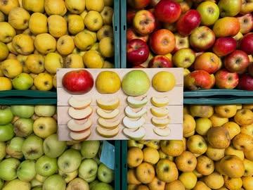 Tasting pour le futur dessert:
Reinette Hernaut, Reinette ananas, Court-pendu jaune, Président Henry van Dievoet.
Merci à Thomas d’auprès de mon arbre de nous dénicher ces variétés méconnues (hautes tiges sans intrants bien entendu)

#eatlocal #pommes #desaison #hamoir #comblainlatour #automne #goodfood #restaurant #michelingids #cuisinevivante #fruits #cuisinedesaison #ripetoileverte