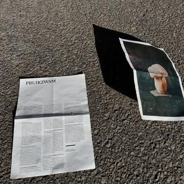 We staan weer in de krant!! 

De Pruikzwam doet zijn ding in @destandaard . Merci @barbara.serulus voor het fijne gesprek over waarom en hoe mijn vader en ik de pruikzwam/Lionsmane zijn beginnen kweken en wat hem uniek maakt! 

Plus: 2 recepten om meteen zelf aan de slag te gaan ermee!

Proeven? 
 🥬 @entropyrestaurant_brussels 
 🍆 @restaurantcumlaude 
 
Of kom hem uithalen voor zelf bij je thuis! 
Bestellen? ➡️ Link in bio! 

Shoutout de vrouw op de markt die ons het artikel is komen brengen! 😘