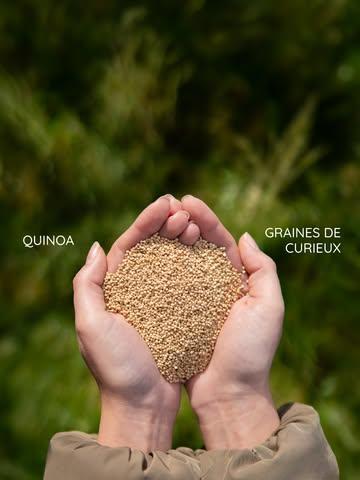 Une petite graine aux grands atouts 🌿

Notre quinoa bio apporte équilibre et texture à toutes vos recettes, des salades colorées aux bowls réconfortants. 🥗

Un indispensable plein de protéines et d’énergie naturelle pour sublimer votre quotidien 💛

***

Een klein zaadje met grote troeven 🌿

Onze biologische quinoa geeft balans en textuur aan al je recepten, van kleurrijke salades tot hartverwarmende bowls. 🥗

Een onmisbare bron van proteïnen en natuurlijke energie om je dagelijkse kost naar een hoger niveau te tillen 💛

#familyfood #sustainablefood #localproducts #familyfood
