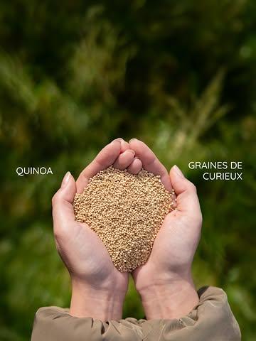 Une petite graine aux grands atouts 🌿

Notre quinoa bio apporte équilibre et texture à toutes vos recettes, des salades colorées aux bowls réconfortants. 🥗

Un indispensable plein de protéines et d’énergie naturelle pour sublimer votre quotidien 💛

***

Een klein zaadje met grote troeven 🌿

Onze biologische quinoa geeft balans en textuur aan al je recepten, van kleurrijke salades tot hartverwarmende bowls. 🥗

Een onmisbare bron van proteïnen en natuurlijke energie om je dagelijkse kost naar een hoger niveau te tillen 💛

#familyfood #sustainablefood #localproducts #familyfood