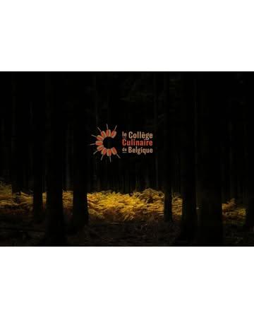 SAPIENS
Membre du Collège Culinaire de Belgique

Merci au Collège
pour la confiance. 

Continuer à cuisiner lentement.
À écouter le territoire.
À laisser le temps faire son travail.

Le geste avant l’image.

@collegeculinairedebelgique 

#wallonie #finediningexperience #michelinvert