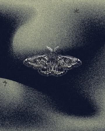 V E G A N 

CYCLE VERT

Il y a des saisons qui ne demandent pas qu’on parle plus fort.
Elles demandent qu’on écoute.

À côté du menu Végétal et du menu avec protéines, une nouvelle voie rejoint la table : un menu 100% végan, pensé comme une expérience gastronomique complète locale, vivante, précise.

Choux de Bruxelles au BBQ, chicons en fleur, poireau confit dans sa peau, lentilles au miso, potimarron réduit…
Des amers maîtrisés, du feu, de l’acidité, du gras juste, et cette recherche constante : l’umami.

Idée soufflée par @straynge.skin.lab - je n’osais pas franchir le pas du 100% végan, et ce message a déclenché le déclic , merci . 💮

@bevegan.be 🌼

📩 Réservations & infos : DM ou mail.

#vegan #slowfood #hautecuisines