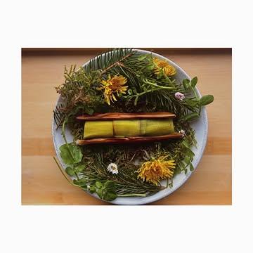 2026 / Mars 

Dans le silence des sous-bois 
la matière prend vie . 

Poireau confit dans sa peau au bbq / crème de cresson et feuilles de rhubarbe,bleu de brebis / caviar d’algues / jeunes rhubarbe / végétaux . 

#foraging #slowfood #hautecuisines