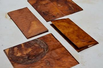 Biomaterial menu covers for the culinary world, 
made out of kombucha leather. 

#kombuchaleather #biomaterials #sustainabledesign #materialinnovation #biodesigner