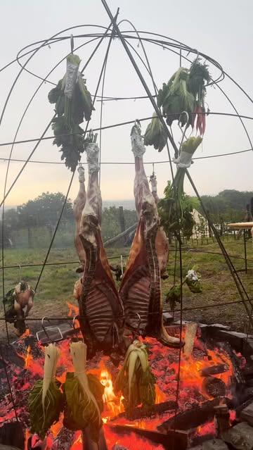A S A D O 

Sapiens X Domaine de hurlevent 

Le feu impose son rythme.
Pas celui de la vitesse ou de la précision absolue.
Celui du temps, de la braise, de la fumée qui s’installe lentement.

Des pièces suspendues au-dessus des flammes, des légumes noircis par la cendre, des herbes encore fraîches malgré la chaleur.
Une cuisine brute, instinctive, où le feu fait une partie du travail à notre place. 

#asado #sapiens #wallonie #wildcooking
