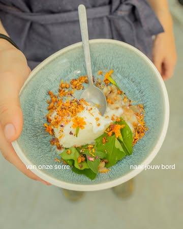 Proeven van ons zomermenu? 🍀
Op 28 augustus dekken we de tafels weer midden in onze serre. 
Onze eigen kweek staat die avond centraal: we koken met verse kruiden zoals citroenverbena, vijgenblad en shiso, aangevuld met het beste van het seizoen.

Schuif gezellig bij ons aan! Meer info en reserveren vind je via de link in onze bio. 
#farmtotable #kruiden