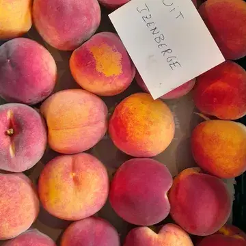 Het is hier weer serieus de moeite!