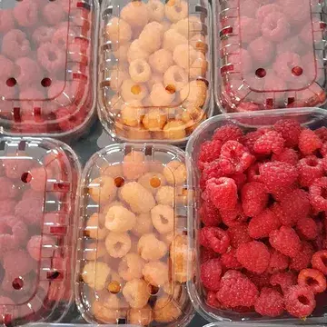 Vanaf nu is de hoevewinkel open op woensdag,  vrijdag en zaterdag.  Welkom!