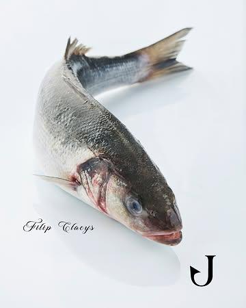 Zeebaars, gebakken, in zoutkorst, ceviché... hoe eet u deze vis het liefst?
Sea bass, baked, in salt crust, ceviche-style... how do you prefer to eat this fish?

 #filipclaeys #northseachefs #gastronomy #hospitalityindustry #finedining 
@heikkiverdurme @@carodemeyere @filipclaeys_dejonkman