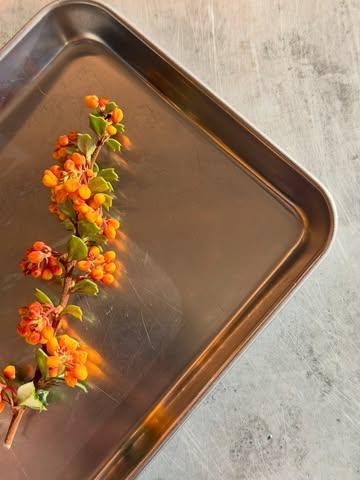 MAI 

À partir de ce mardi 5/05, un nouveau menu! 

On a hâte de vous accueillir. 

Réservations- lien en bio 

#mauvaischoix #food #printemps