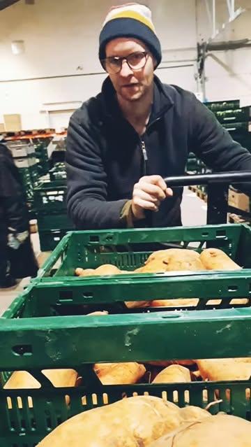 Lokale biologische zoete aardappels onderweg naar jullie! #organic #bioteelt #lekker #koolmees