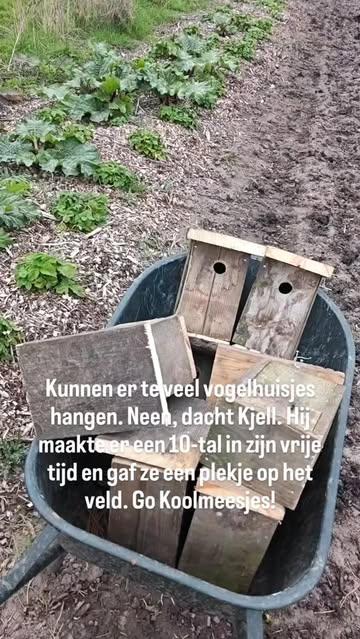 #koolmees huist #koolmeesjes