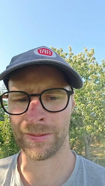 Voordelen van agroforestry.