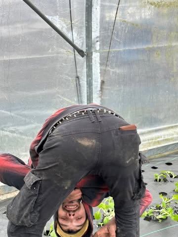Série 1 jour, 1 semaine
Semaine 5:
La pépinière se remplit, on prépare les planches et les bâches, on finit de monter les tunnels pour accueillir les 1ers transplants
