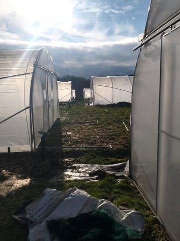 Série 1 jour, 1 semaine de cours
6ème semaine de cours:
Les tunnels sont montés, les boutures de figuiers plantés, le bureau presque assemblé, les bâches trouées, les feuilles de laitues repiquées, le picnic au soleil enfin arrivé !