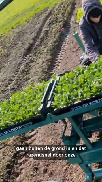 Planten in turbo-modus! 

Dit filmpje is al van drie weken geleden… ondertussen staat er buiten al een pak meer groenten te groeien. Dankzij onze nieuwe plantmachine gaat het planten supersnel!

#boerderijleven #lente #korteketen #groenten #samenopdreef #ophetveld