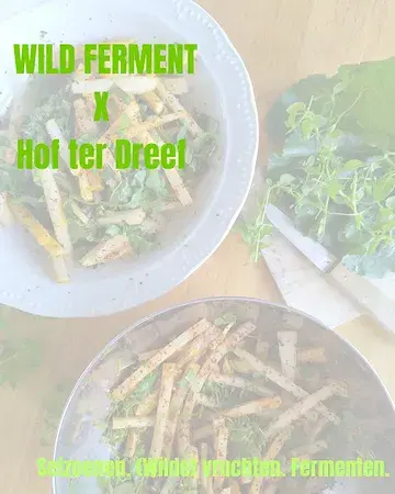 Een nieuwe wilde fermentatiereeks!

En wel met nieuwe partner @hof_ter_dreef. 
Deze bio-boerderij en coöperatie met een warm hart bevindt zich in de groene rand van Brussel, in het rustige Meise. 

We gaan er oogsten, proeven en verwerken. Alle ingrediënten komen kraakvers van het hof en uit het bos. Van korte keten gesproken. 

Kom jij ook gezellig meedoen? 

Prijs: €72/sessie of €190 (ipv €216) voor de hele reeks. 
Incl alle ingrediënten en materiaal, heerlijke proevertjes, zelfgemaakte fermenten voor mee naar huis en proevertjes.

Een deel van de inkomsten gaat rechtstreeks naar de coöperatie.
DM me voor inschrijvingen en meer info!