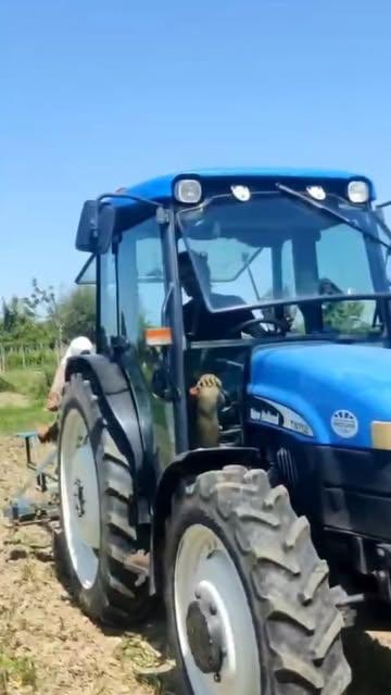 Kerst op de boerderij / Noël à la ferme

Van David (Bioop) kregen we een oude schoffelbalk… en het voelde eerlijk gezegd precies alsof het Kerstmis was  David (Bioop) nous a offert une vieille bineuse… et honnêtement, on aurait dit Noël 

De juiste tools op het juiste moment blijven toch het mooiste cadeau op de boerderij.
Les bons outils au bon moment restent le plus beau des cadeaux à la ferme.

Dankjewel David! / Merci David!