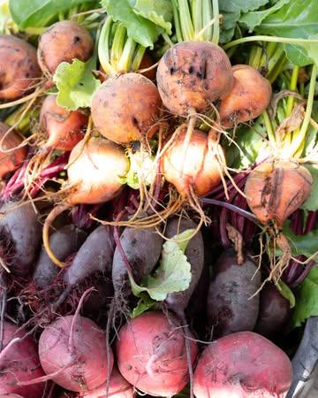 Cioggia biet - Rode biet - Gele biet.
Kleurrijk - Smaakvol - Vol Antioxidanten. 

#VerschilFarmToTable #GaultMillau #GaultMillauBelgium #FarmToTable #verschilnaturelle #foodie #freshproduce #localfoodlover #sustainablefood #farmersofbelgium #seasonaleats #michelinguide