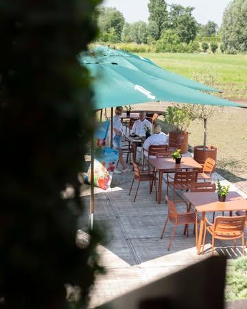 Verkoeling zoeken op ons schaduwrijk terras, ten midden van de velden?

T. 051 43 67 20

#VerschilFarmToTable #GaultMillau #GaultMillauBelgium #FarmToTable #verschilnaturelle #foodie #freshproduce #localfoodlover #sustainablefood #farmersofbelgium #seasonaleats #michelinguide