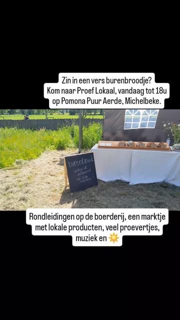 #zottegem #brakel #michelbeke #pomonapuuraerde #desembrood