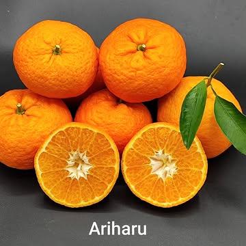 Difficile de faire beaucoup mieux.