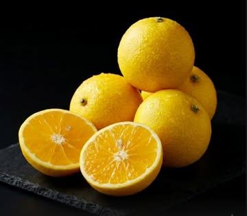 🍋 L’Agrume d’Or : Un Hasard Divin

L’Exclusivité Brumenil. La Genèse d’un Miracle.

Ce fruit ne doit rien à l’homme. Découvert durant l'ère Meiji dans un jardin de Kagoshima, il est le fruit d'une union sauvage : le pollen d’un Yuzu transporté par le vent venant féconder une fleur de Kishu Mikan.

De ce croisement imprévu est né un agrume unique, que nous préservons aujourd'hui dans notre terroir de Verlaine.
💎 L'Expérience "Pulpe-Bonbon"

Sous une écorce jaune éclatant, compacte comme une balle de golf, se cache une chair sublime. L'équilibre est magistral :

 L'attaque : Acidulée et nerveuse (l'héritage du Yuzu).

 La finale : Une sucrosité profonde et élégante.

👨‍🍳 Pour la Haute Gastronomie

Un fruit sauvage et historique destiné aux chefs en quête d'émotion pure. Sa tension et sa divinité en font le sommet mondial de l'agrume.

🎵 Musique : I Will Survive – Cake
(Parce que cet hybride sauvage a survécu à l'histoire pour finir dans vos assiettes.)

#AgrumesBrumenil #Ogonkan #AgrumeDOr #HauteGastronomie #ChefSelection #TerroirBelge #RareCitrus #MeijiEra #Gastronomy #CakeBand