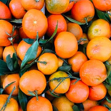 Daar zijn ze weer, de citrusvruchten om ons uit de grijze november te halen! 🍊✨ Sappige Corsicaanse mandarijnen, mysterieuze Boeddha's hand, exotische kaffir limoen... Er is keuze genoeg om je gerechten wat extra pit te geven, je cocktails op te frissen en je dagen op te fleuren! 🍋🌞 Wat is jouw favoriete citrusvrucht om dit seizoen op te peppen? #Vitamineshot #herfstkleuren 
_

Ça y est, les agrumes sont là pour nous sortir de la grisaille de novembre ! 🍊✨ Clémentine juteuse de Corse, Main de Bouddha mystérieuse, combava exotique... Le choix est large pour ajouter une dose de peps à vos plats, booster vos cocktails et illuminer vos journées ! 🍋🌞 Quel est votre agrume préféré pour pimper cette saison ? #Vitaminé #CouleursdAutomne