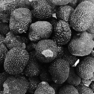 La truffe noire, en plein cœur de sa saison.
Et quelle saison! La melanosporum comme on l’aime : fraîche, intense, expressive.

Œufs, pâtes, purée, risotto… elle fait le lien entre simplicité et profondeur de goût.

Chez CHAMP, on la sélectionne chaque année au fil des arrivages, quand elle est juste, aromatique, prête à être cuisinée.
Rien de plus. Rien de moins.

📍En boutique, tant que la saison bat son plein.
#truffenoire #melanosporum #foodie #goût #saisonnalité #chezchamp #bruxelles
_
De zwarte truffel, volop in haar seizoen.
En wat voor een seizoen. Melanosporum zoals we haar graag hebben: fris, intens, expressief.

Eieren, pasta, puree, risotto… ze slaat de brug tussen eenvoud en diepgang in smaak.

Bij CHAMP selecteren we haar elk jaar, levering na levering, wanneer ze juist is: aromatisch en klaar om te koken.
Niet meer. Niet minder.

📍In de winkel, zolang het seizoen volop loopt.
#zwartetruffel #melanosporum #foodie #smaak #seizoensgebonden #chezchamp #brussel