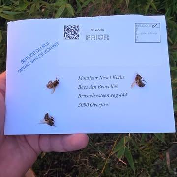 Certaines lettres portent le poids silencieux des saisons, des mains et du vivant.

Bees Api Bruxelles est désormais officiellement repris parmi les fournisseurs de la Cour Royale de Belgique.

Une reconnaissance façonnée par le temps, le soin et un engagement profond envers le monde vivant. 🍯🐝

#BeesApiBruxelles #ApicultureUrbaine #SavoirFaire #Vivant #Artisanat