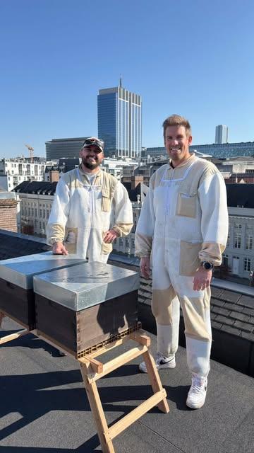 Une démarche élégante et engagée.

Deux ruches installées sur le toit du Juliana Hotel Brussels, au cœur de Bruxelles 🐝

Le miel récolté sera servi directement au petit-déjeuner de l’hôtel 🍯

Du toit à la table.

Une signature durable qui allie hospitalité, nature et excellence.

Et si d’autres établissements faisaient le choix d’un engagement concret ?

#ApicultureUrbaine #BiodiversitéUrbaine #Bruxelles #HôtellerieResponsable #EngagementDurable