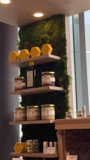 Bzz bzz 🐝 
On #mangelocal avec @beesapibruxelles chez @delhaize.arbreballon 🍯