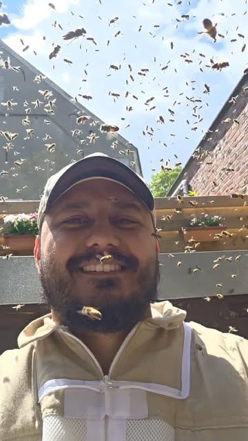 Certains vont chez le psy. Moi j'ai mes abeilles. 🐝
#BeesApiBruxelles #Abeilles #Apiculture #Thérapie #bruxelles