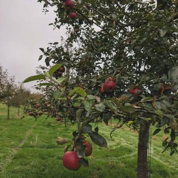 2025 on it's way 🍂