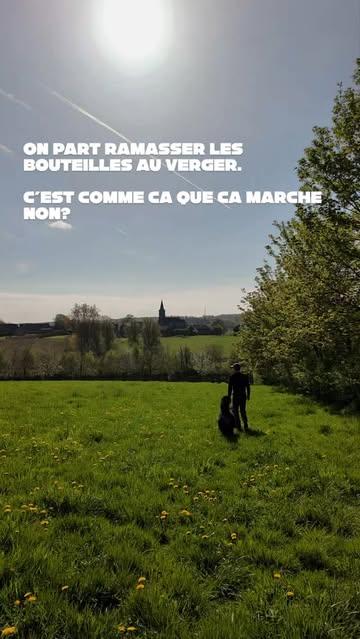 Et toi? Tu sais comment on fait du cidre?

🍎 Récolter des pommes a la main dans la région
🍎 Presser tout doux
🍎 Fermenter en barriques de chêne 8 mois
🍎 Mettre en bouteilles a la main
🍎 Attendre 6 à 12 mois pour la pris de mousse
🍎 Nettoyer les bouteilles, étiqueter, mettre en caisses

Avant ça, planter des vergers hautes-tiges et attendre 10 ans pour qu'ils portent leurs fruits. 

Bannir : Pesticides, intrants chimiques, levures de laboratoire et sulfites. 

La messe est dite. 

L'alcool nuit à la santé.