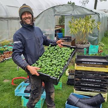 Oh wat zijn ons boer.inn.en blij met de regen!
Alles kan weer groeien.
En zie, daar staat de knolselder al klaar om te planten. Vooruit met de geit!